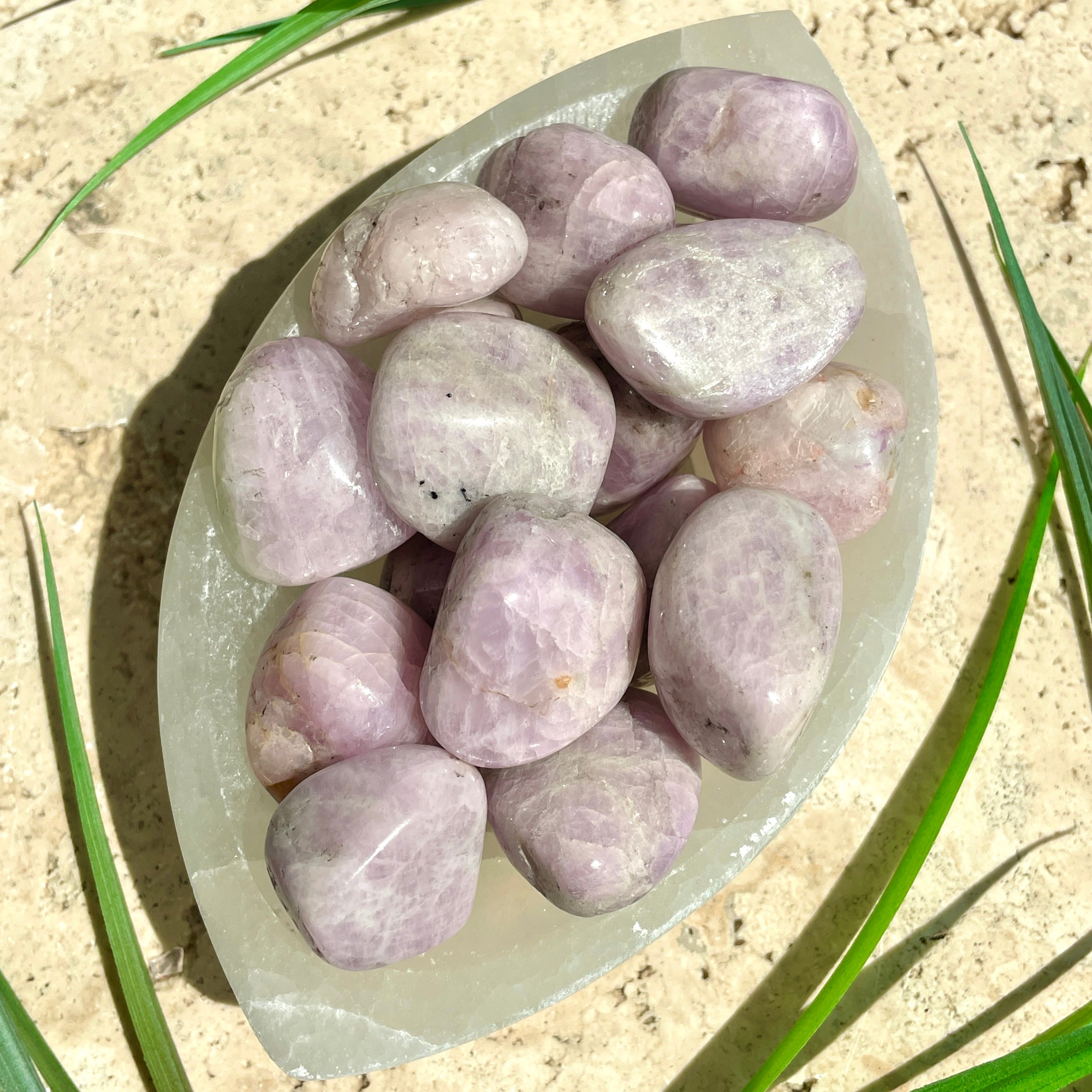 Kunzite Tumbled - 200gm Kunzite Tumbled - 200gm